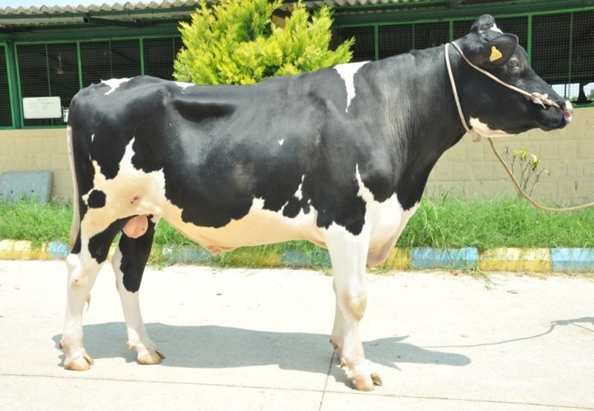 HF-1392
